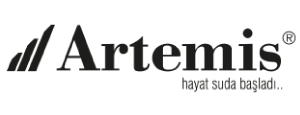 Artemis logo